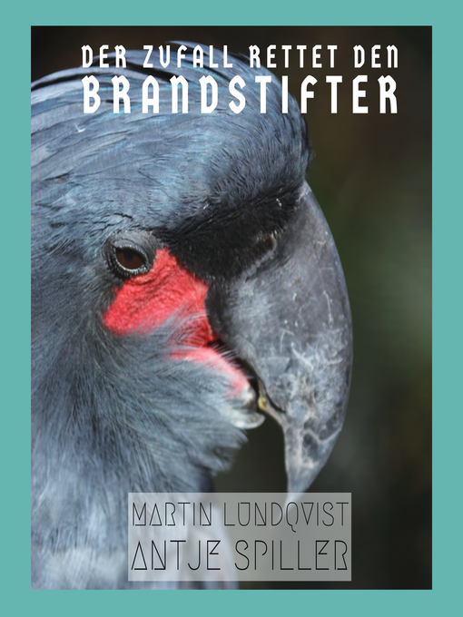 Title details for Der Zufall rettet den Brandstifter by Martin Lundqvist - Available